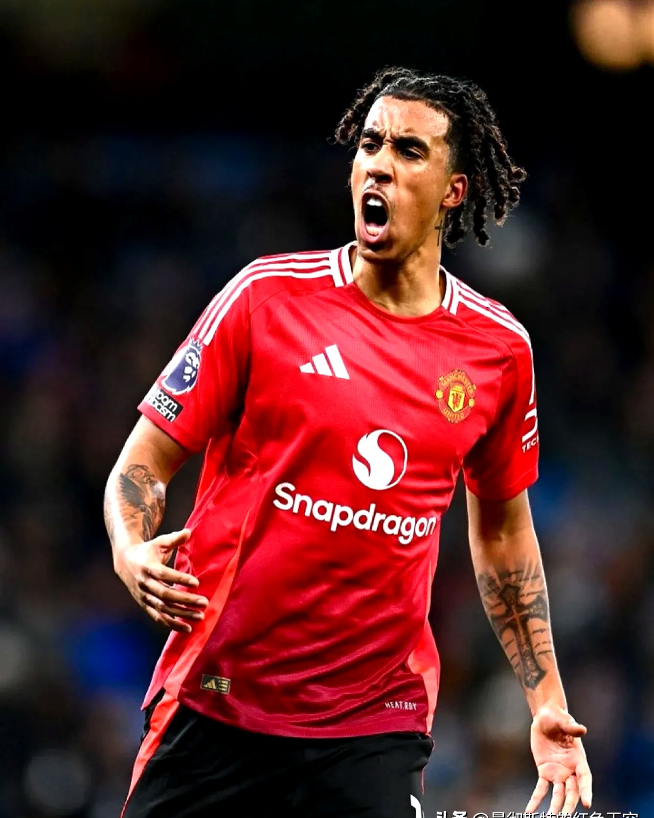 法甲赛后走向成谜；费耶诺德回应争议；管理层满意；球队文化再被提及(费耶诺德为什么叫飞燕)